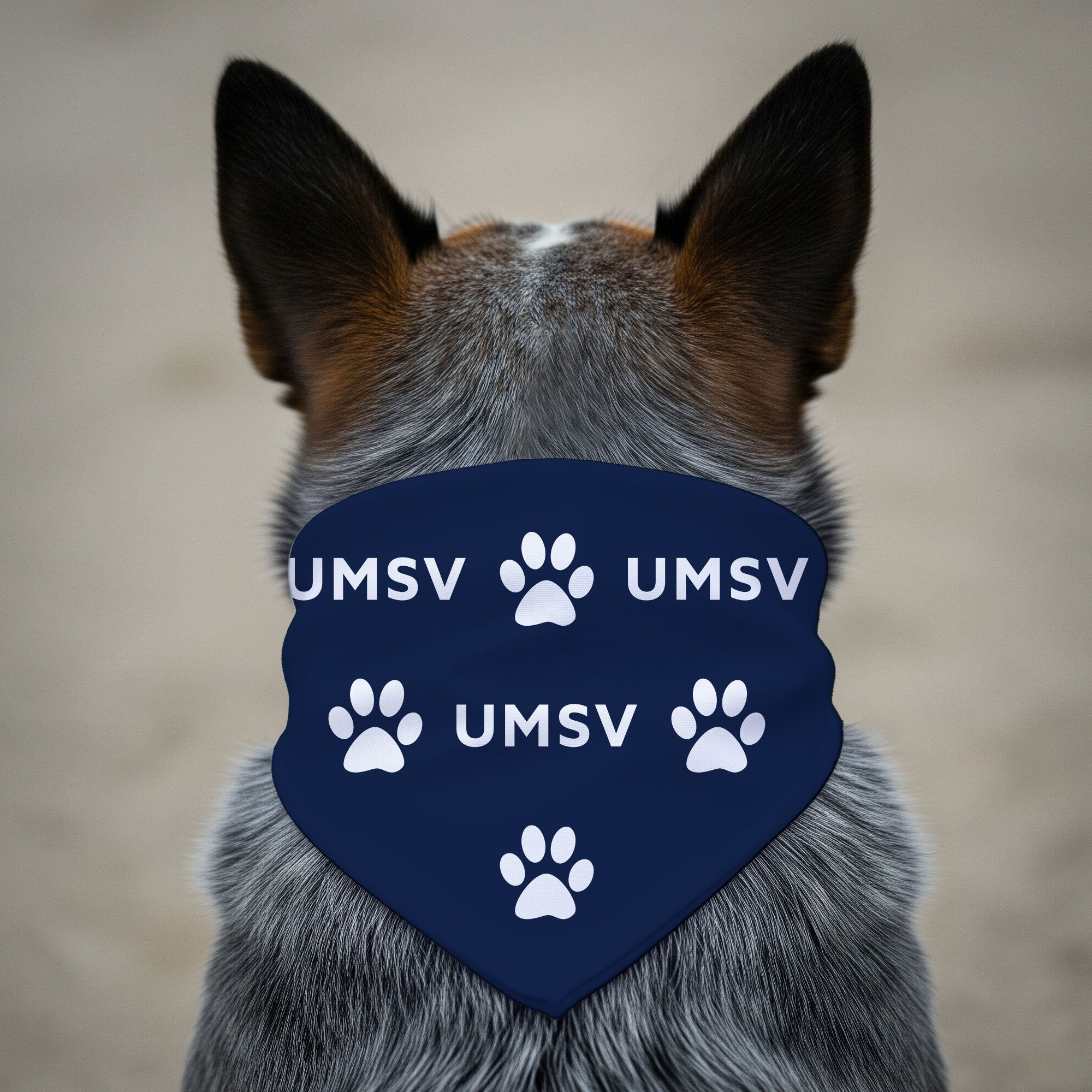 UMSV Pet Bandana Triangle